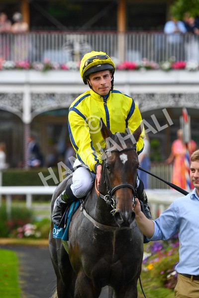 100923-Race 4-Tropical Island-0802 - Race 4 3.15pm Edge Windows Nursery Handicap at York