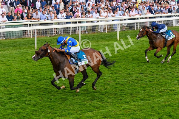 170623-Race 7-The Green Man-1018 - Race 7 5.25pm Clean Up With PPS Handicap