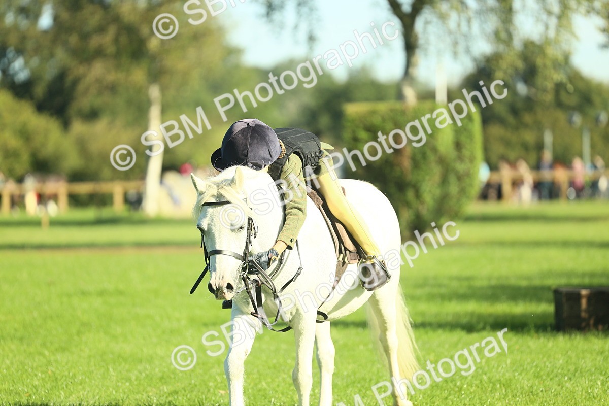 SBM_36396 - S29 - Novice & Newcomers Working Hunter Pony