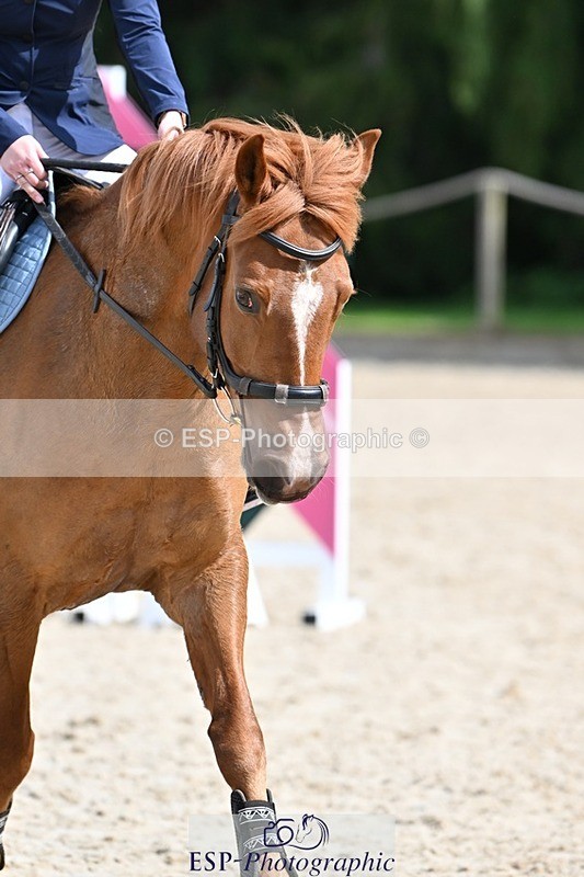 240413-121813-00920 - Cls 5+6 80cm Start to 1pm