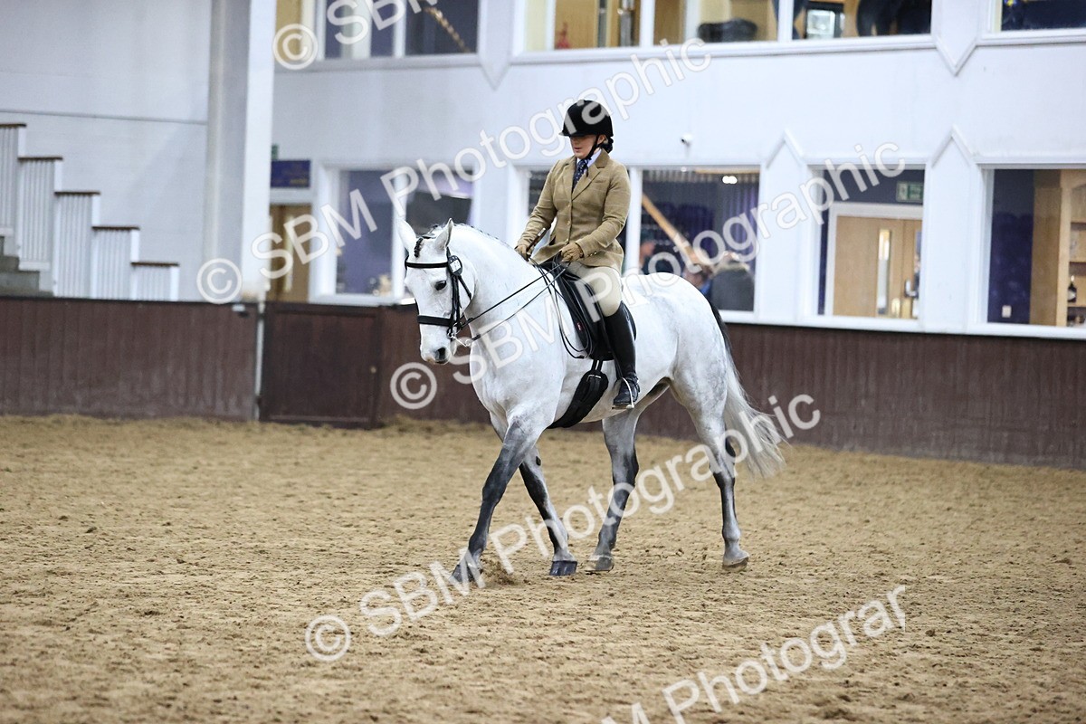 SBM_6354 - Class 45-42 - Ridden Irish Breeds-Ridden Cob