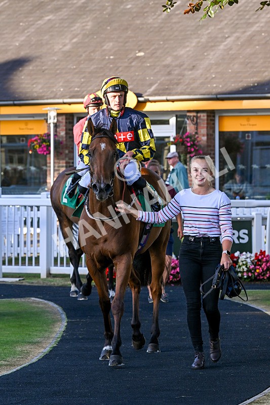 160824-Race 5-Ready Freddie Go-9611 - Race 5