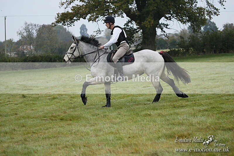 WWHT 181020 WWHT 181020 081 - WWEC Novice Restricted (0.80m) 18/10/20