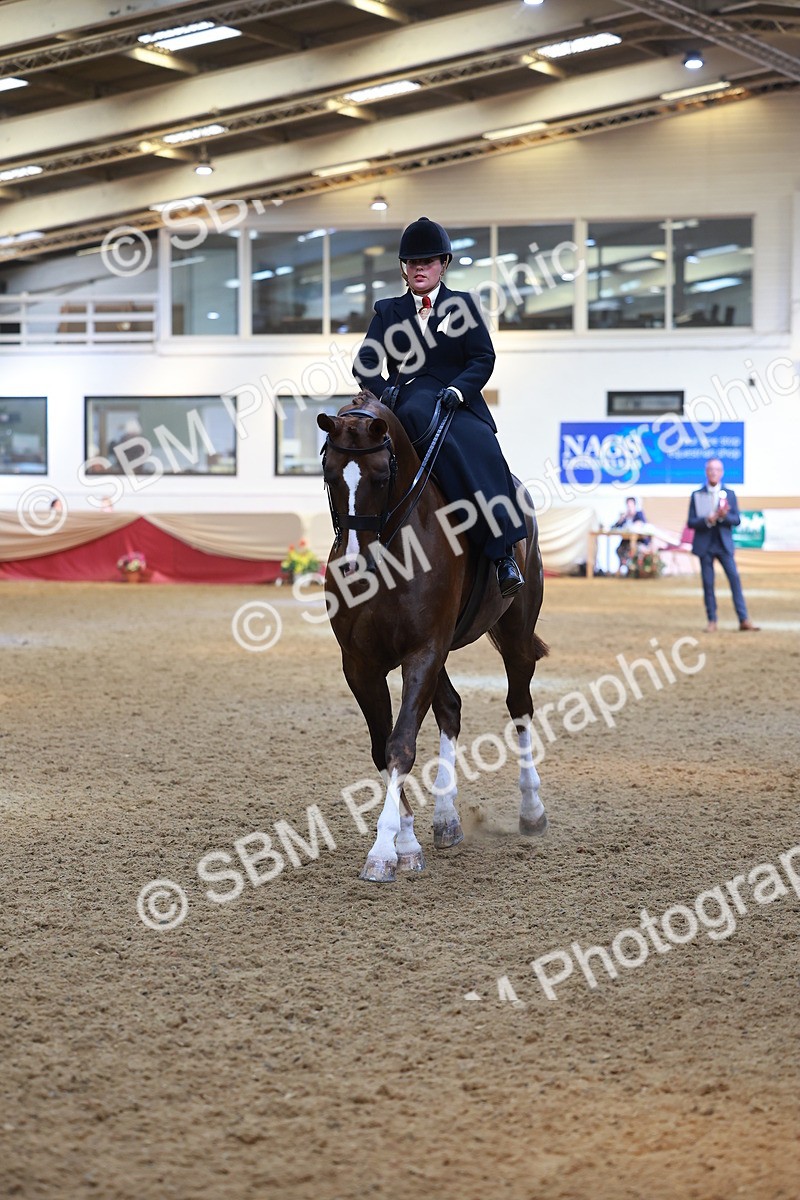 SBM_12549 - Class 103 - HOYS Veteran Qualifier - Ridden Pre Vet