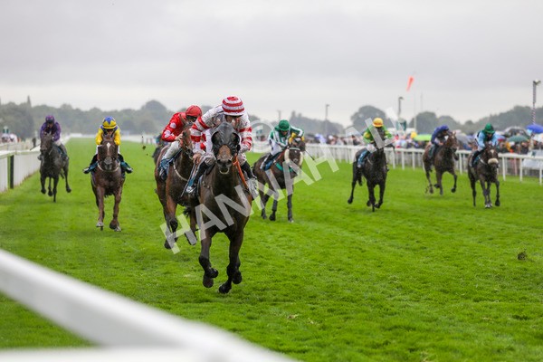 080924-Race 7-Young Fire-4614 - Race 7 5.10pm Elevator Company Amateur Jockeys' Handicap