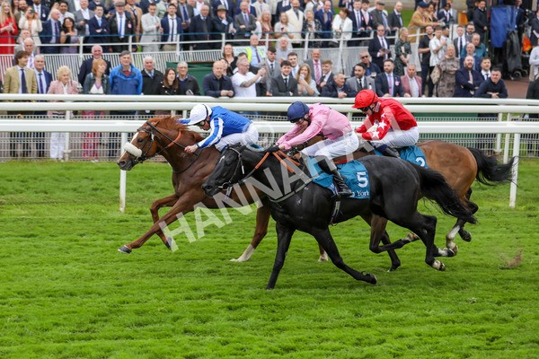 190523-Race 3-Marhaba The Champ-7758 - Race 3 3.00pm Knights Solicitors Handicap