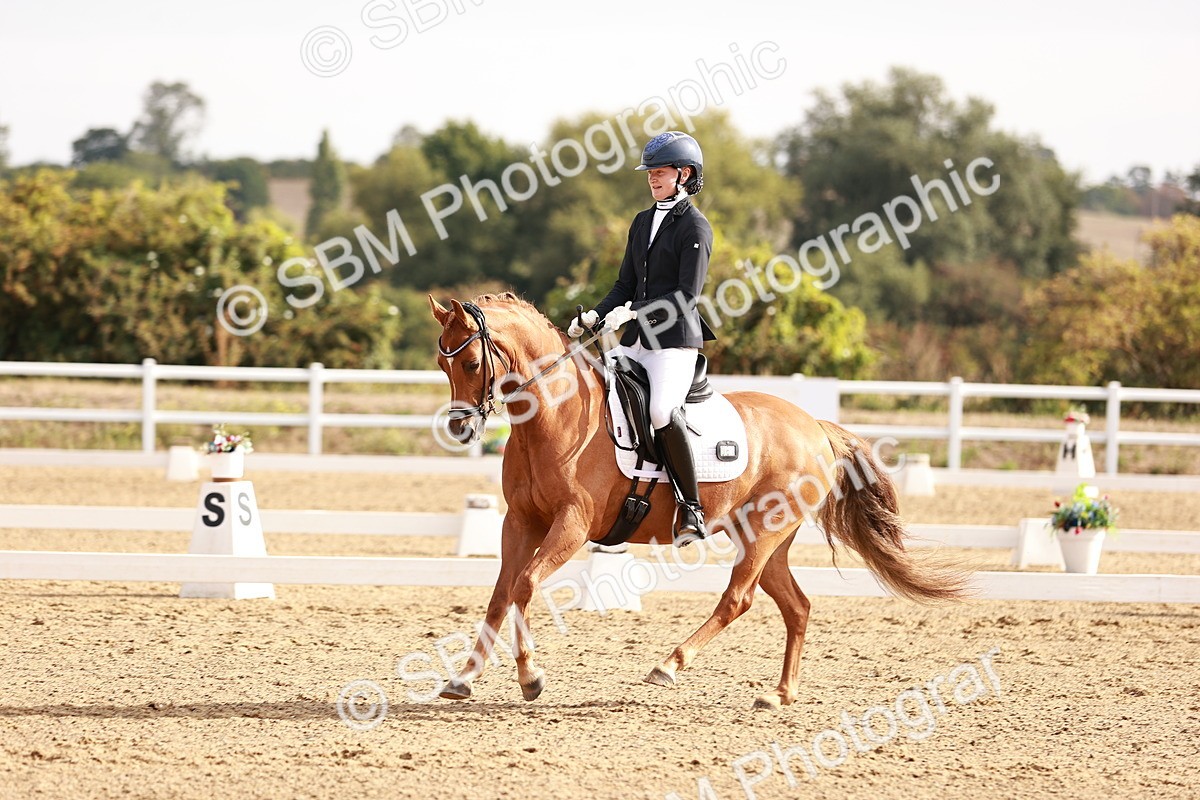 SBM_016912 - Class 10 - Medium 6