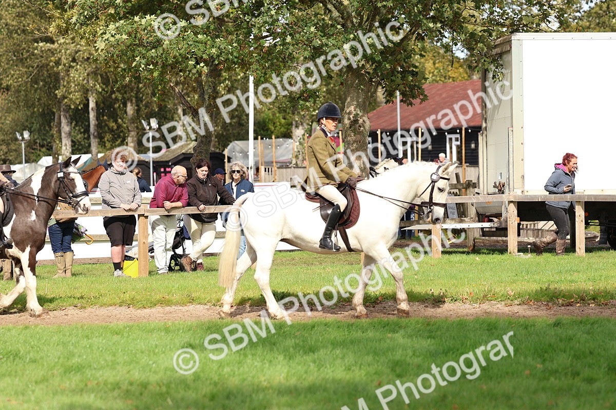 SBM_47591 - S28 - Veteran Ridden