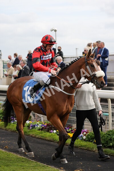 yr13052022r6-8 - Race 6 4.45pm Yorkshire Equine Practice Stakes