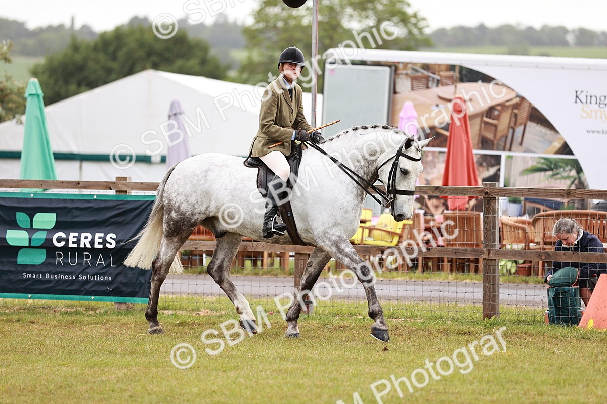 SBM_10737 - Class 81-84 - RIHS Ridden hunters Inc Ladies Hunter