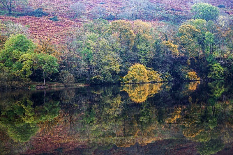 Injebreck reflections - Land of Man
