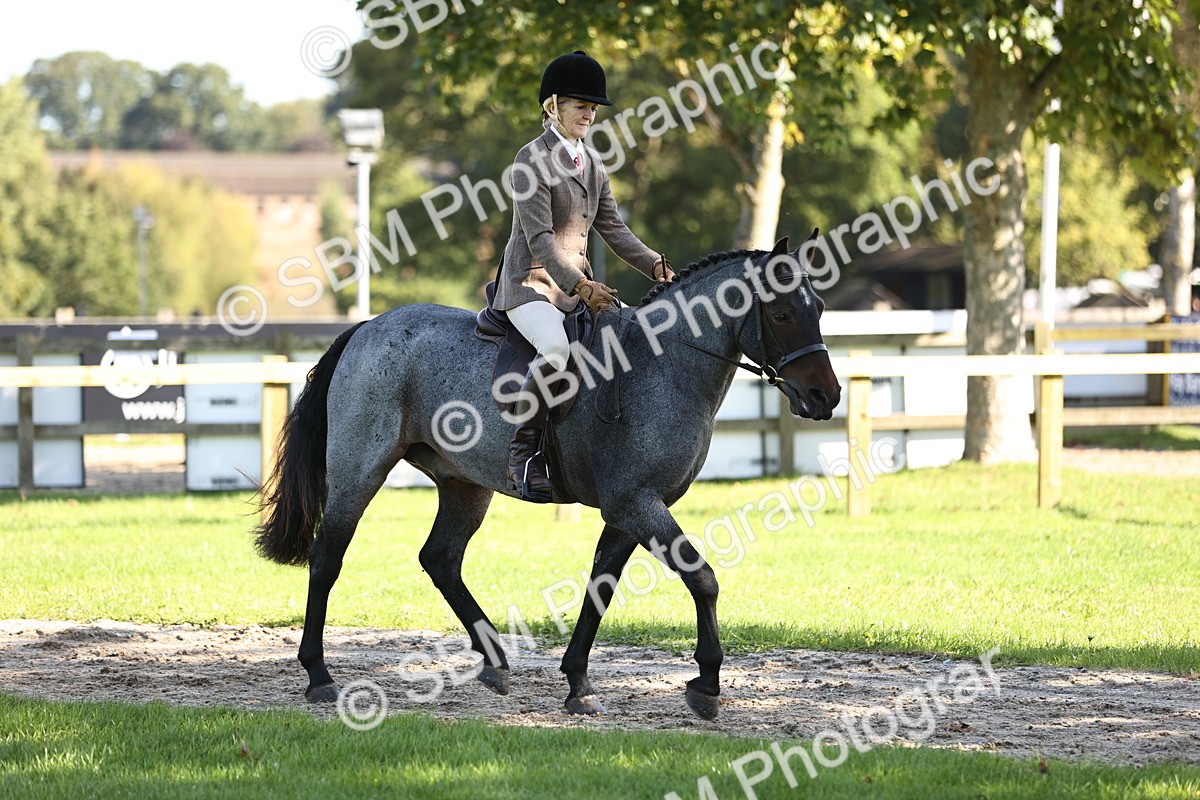 SBM_16897 - S2 - TSR Ridden Pony Showing