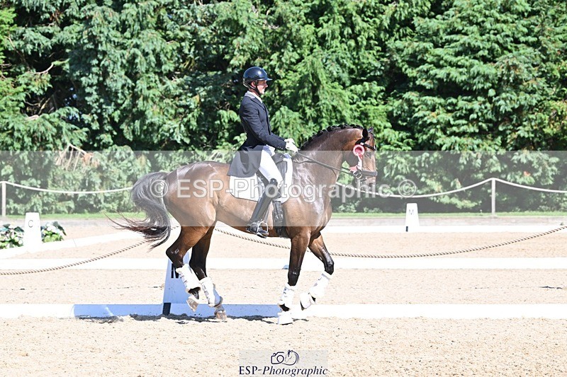 240811-154025-06752 - Inter I Gold