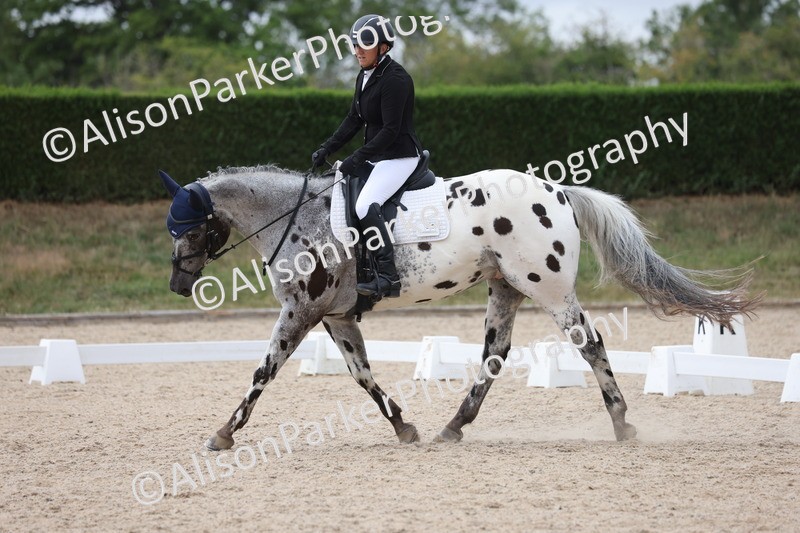 20250705-0468 - Class 5 - Novice 2