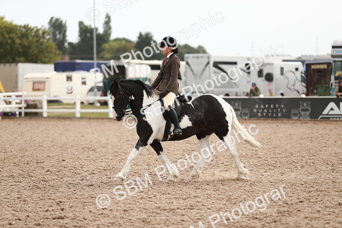 SBM_16755 - Class 214 Ridden Cob