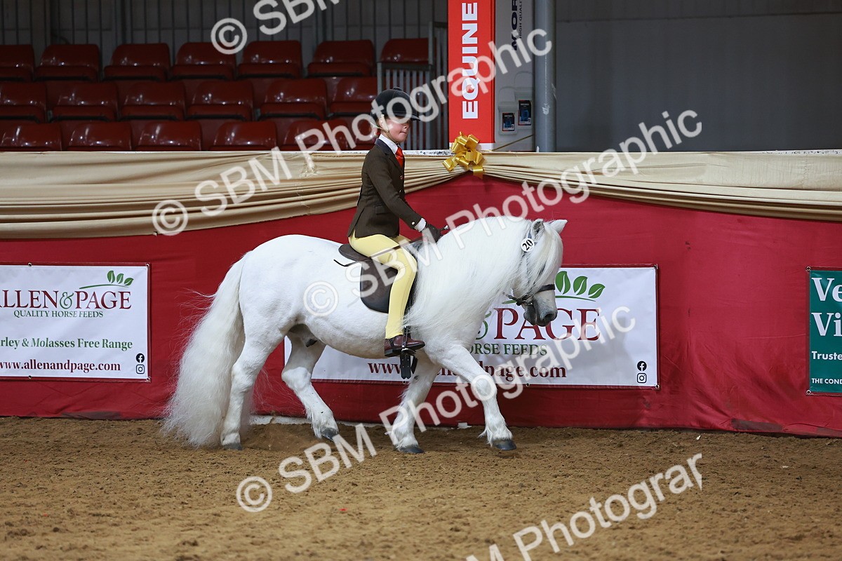 SBM_09380 - Class 102 - HOYS Veteran Qualifier - Ridden Veteran