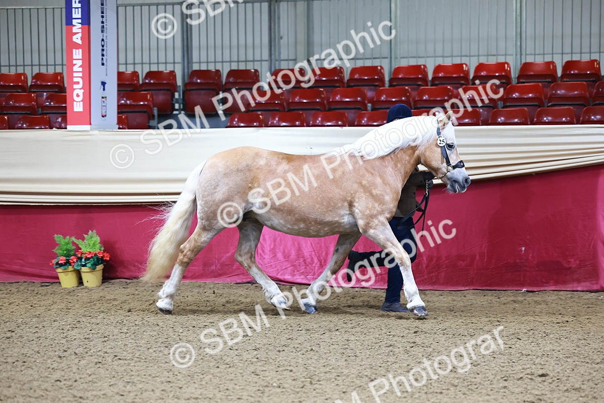 SBM_21649 - Class 901 - Supreme Final - IH  Diamond