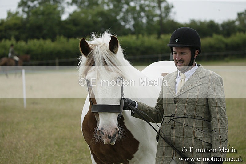 B230619-0693 - Bourne Valley Riding Club Summer Show 23/06/19