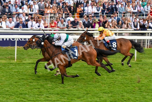 270523-Race 4-River of Stars-4366 - Race 4 3.15pm William Hill Bronte Cup Fillies' Stakes