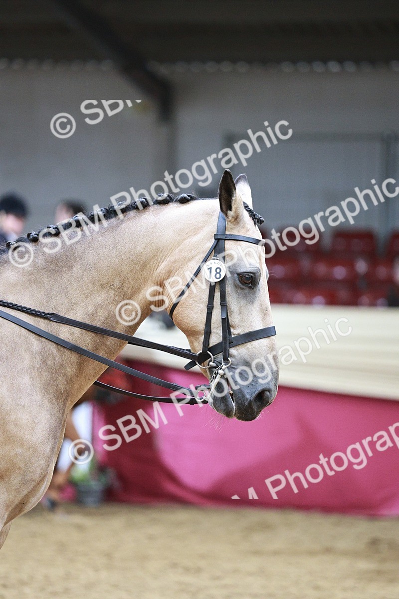 SBM_03421 - Class 6A Area Ridden Pre-Vet