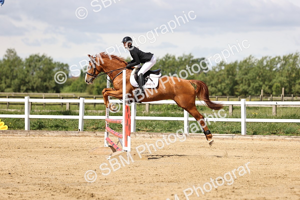 SBM_002218 - Class 9 - Senior British Novice - 90cm