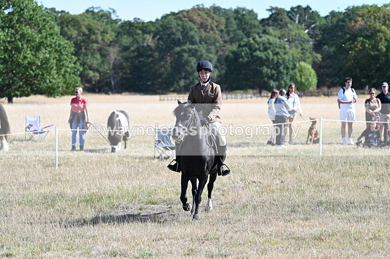 WJ7_3814 - Class 9 Mountain & Moorland Ridden