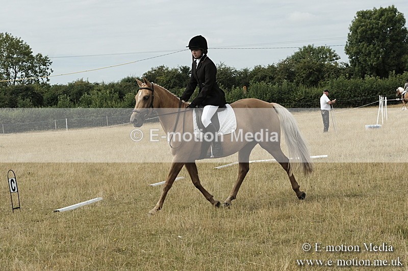 _PJP5730 - Dressage Classes BVRC Show 2018