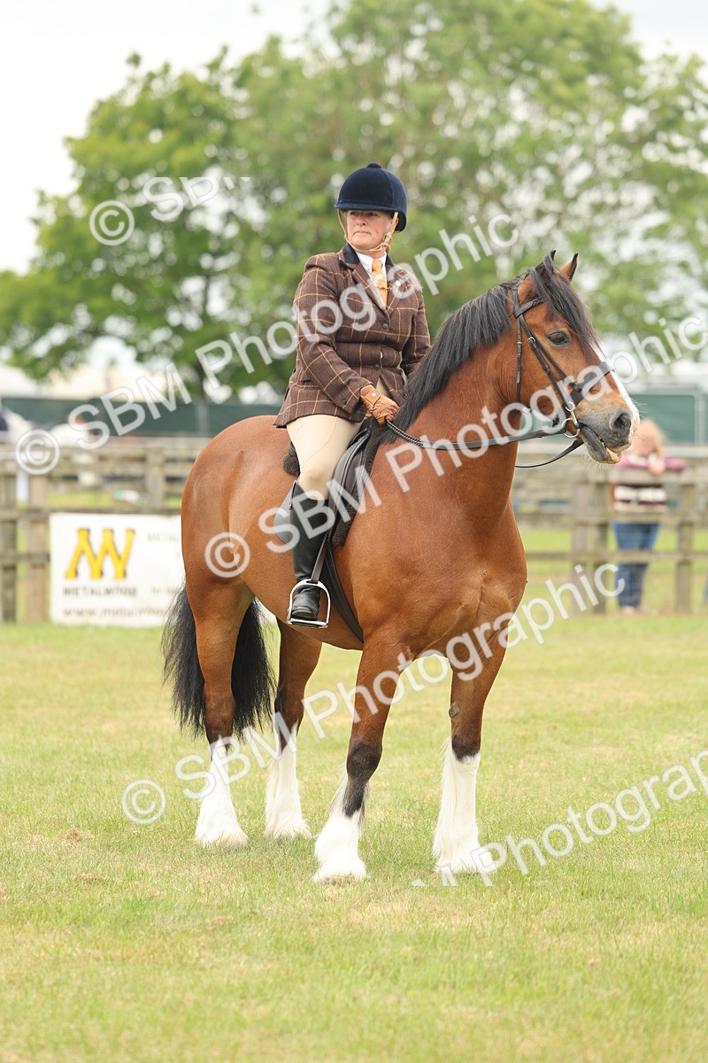 SBM_07256 - Class 76-77 - Ridden M&M Welsh Ponies