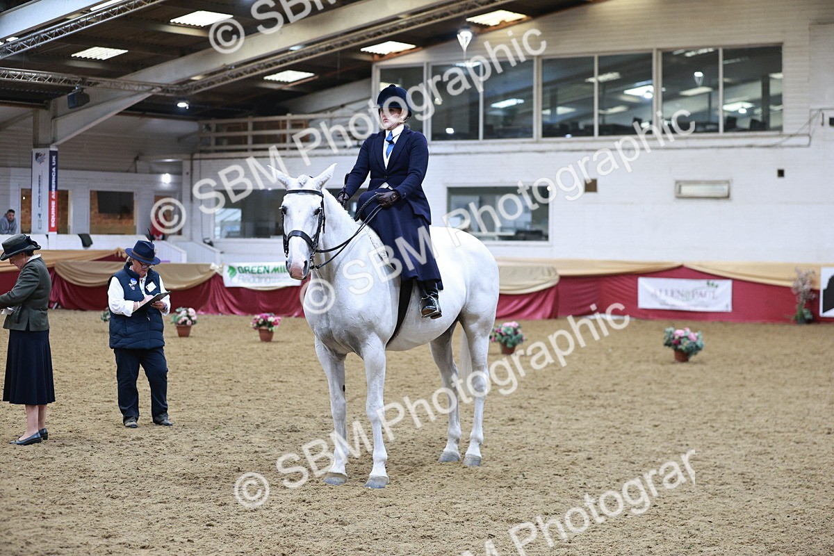 SBM_09056 - Class 12R - Regional Ridden Pre-Vet