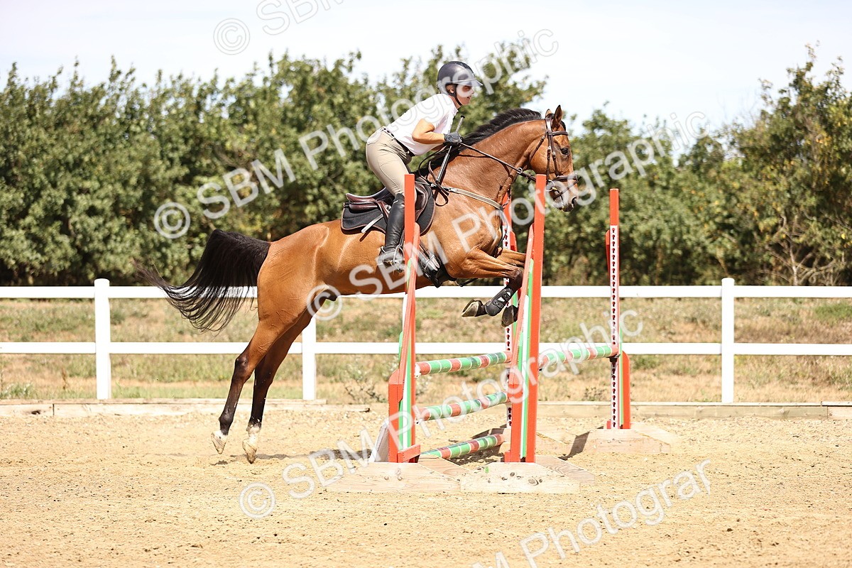 SBM_000874 - Class 3 - Senior British Novice - 90cm