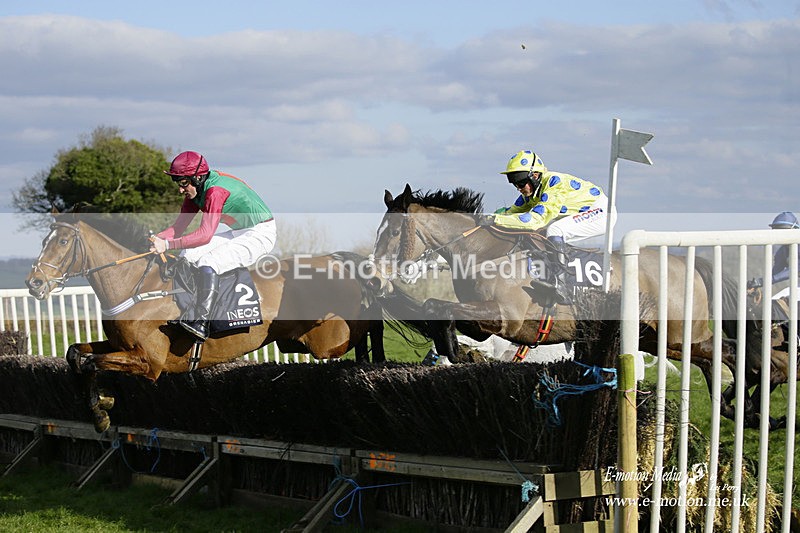 PtP 060322 496 - Blackmore & Sparkford Vale Hunt PtP 06/03/22