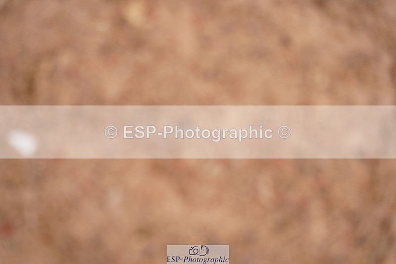 240628A-162214-00150 - Cls 1 Intro 80cm