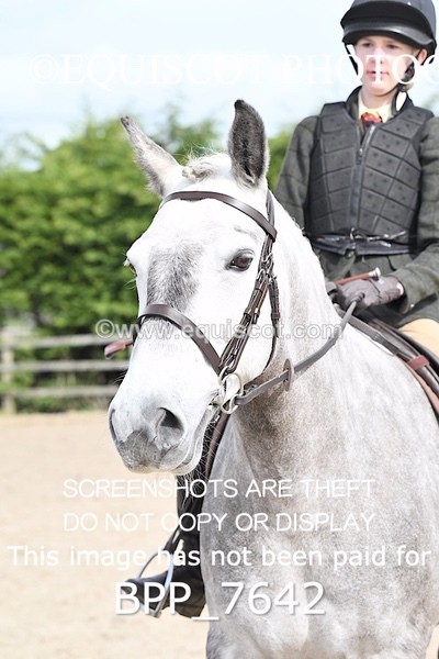 BPP_7642 - RING 1  (RIDDEN HORSES / IN HAND / VETERAN ETC)