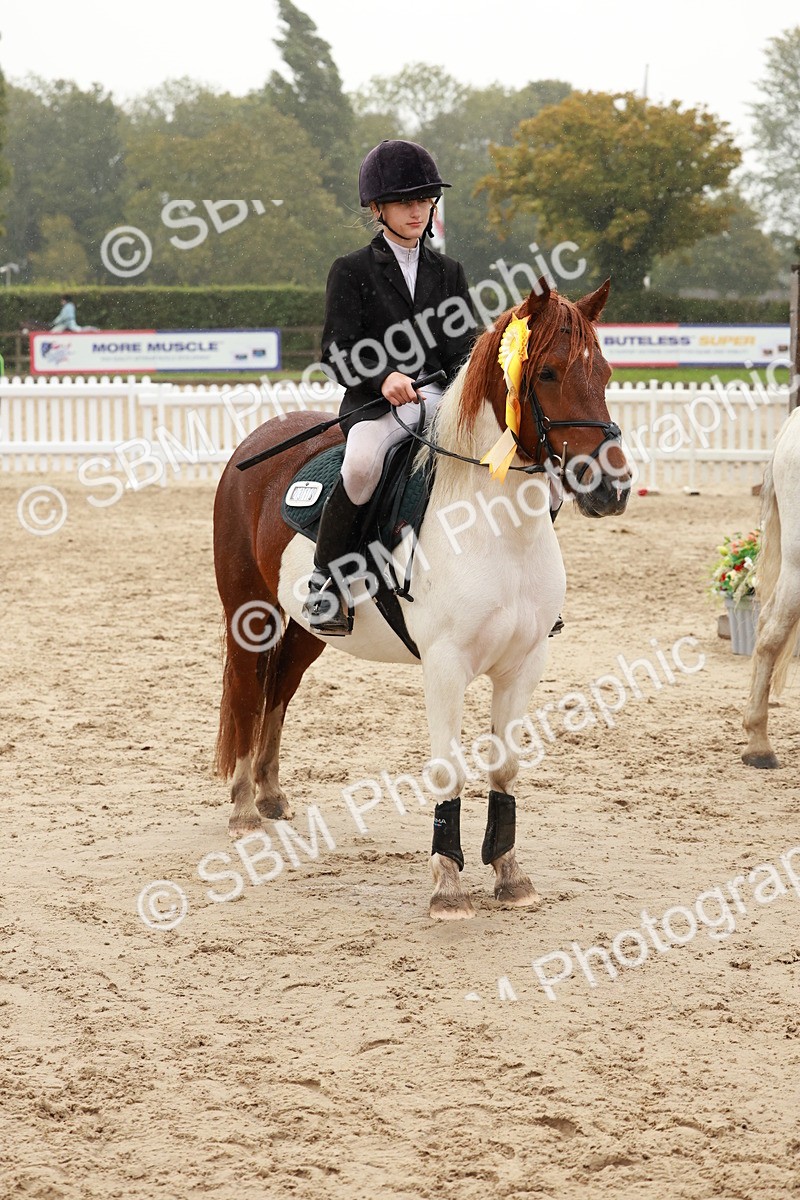 SBM_72312 - J14 - Junior Pony 65cm Championship