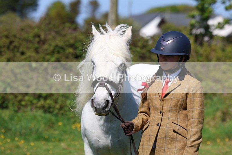 3E7A9945 - Class 17: Young Handler