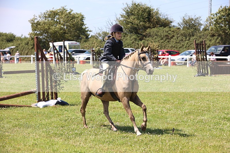 JPP_2199 - Class 20: Tiny Tots Working Hunter Pony