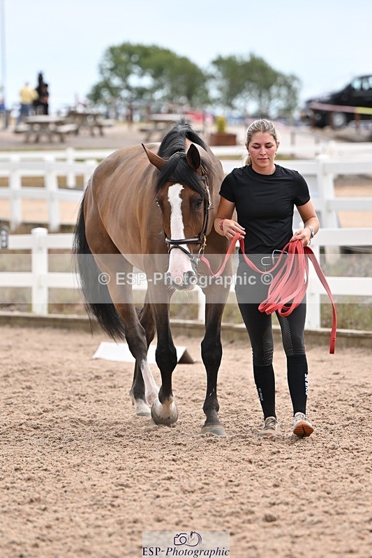 250716-145333-01483 - Trot Up 2.30 to 3.30