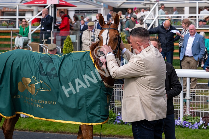 150526-Race 6-Fortification-3159 - Race 6 4.40pm Irish Thoroughbred Marketing Handicap