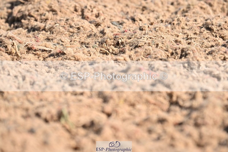 240621A-091741-01167 - Cls 1 BD Prelim 15