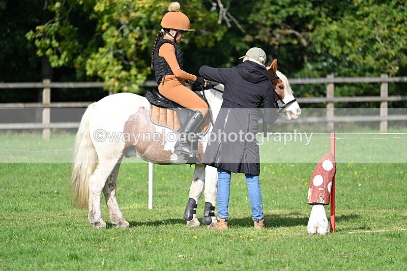 WJ7_3904 - 40cm Time 10:26 to 10:42