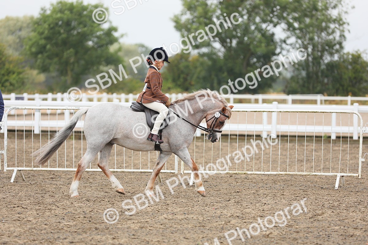 SBM_21723 - Class 806 - Young ridder 10 Yr & Under