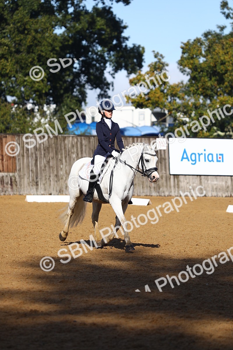SBM_38963 - D21 - Junior Championship Intro 1