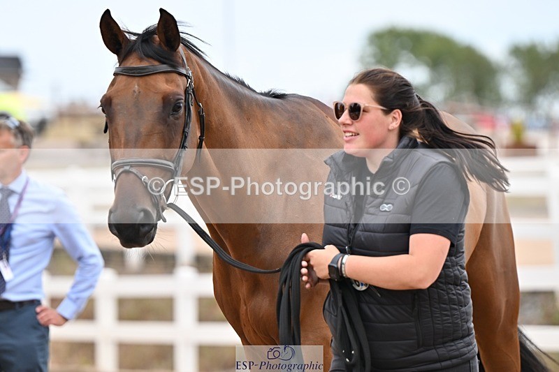 250716-160228-02355 - Trot Up 3.30 to 4.30