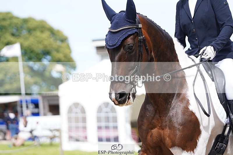 240721-113400-07841 - 124-Sophie_Savage-Two_Tone_Ted