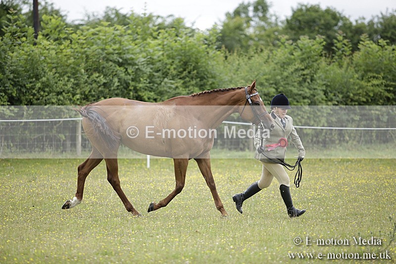 BVR160717-1092 - In Hand Championship 16/07/17