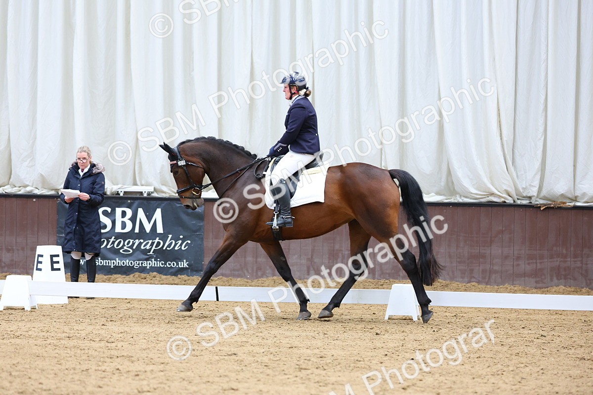 SBM_002291 - Novice 2
