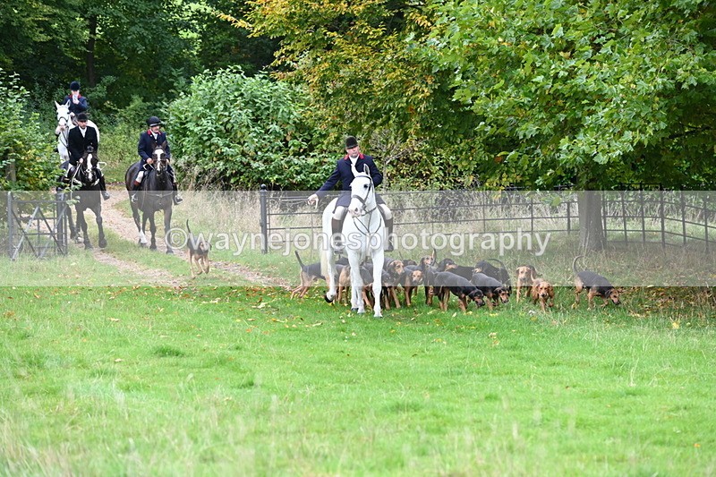 WJ6_0044 - Camera 2 Meet