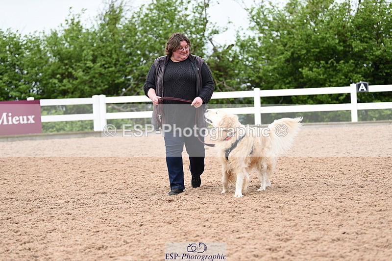 240518A-120650-01090 - Cls 3 Handsomest Dog