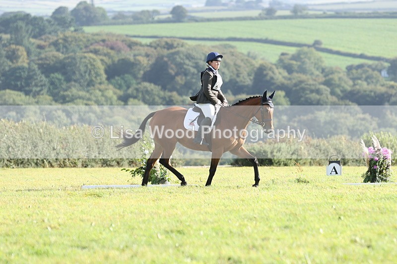 JPP_7816 - Class 2A: Trekenning Open: Dressage