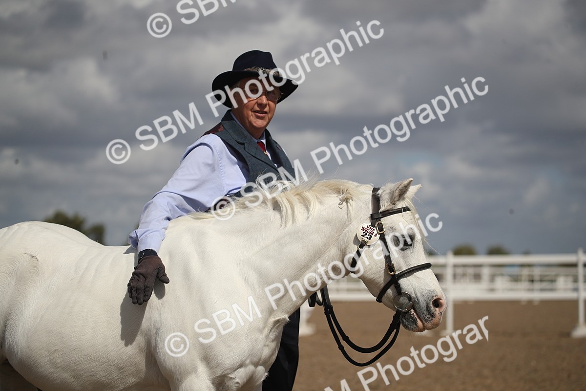 SBM_23554 - Class 605 - 2026 - Area - IH Veteran